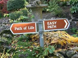 Life path picture