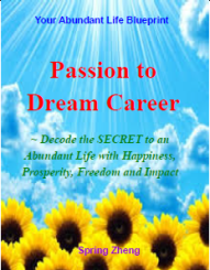 eBook Cover for Passion to Dream Career