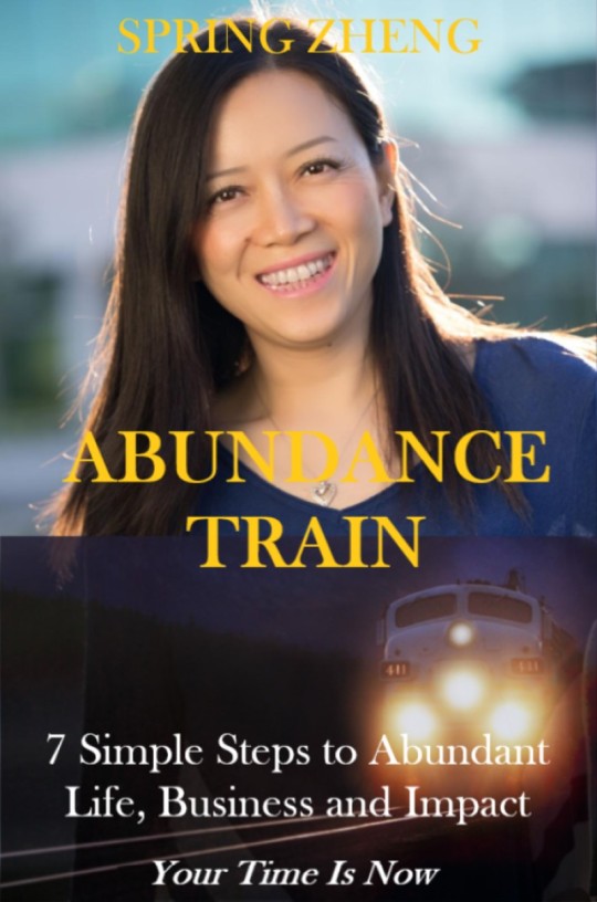 Abundance Train eBook Cover JPG 800x1210